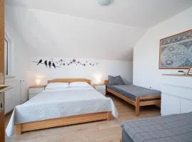 Apartment Vrsi - Mulo 3276a