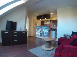 Apartament Koja