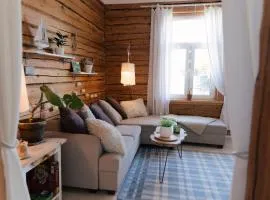 Cozy summer nest in the city center by the river