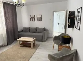 Apartament 2 camere ultracentral
