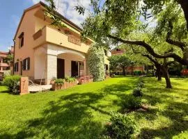 Apartments Mirella