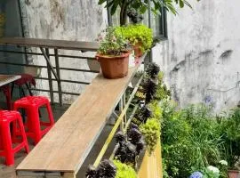Bonsai homestay