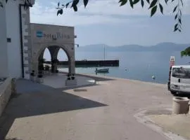 Dalmata Apartments