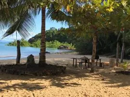 Djema Forest