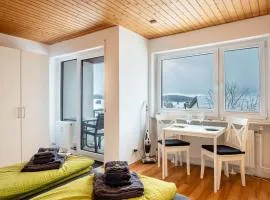 Schwarzwaldblick F App 6 mit Pool