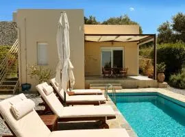 Villa Lemoni with Private Pool and Sea View