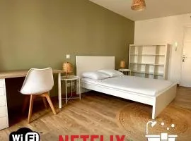 Chambres 20m2, SDB PV, Centre, WIFI, Appart 160m2