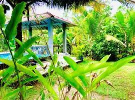 Jungle Coconut View