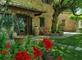 All'Ombra di San Damiano
