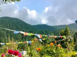 Shiva Cafe and Stays