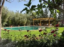 Dar Tidyan Guest House - Ourika Valley