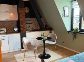 Apartamenty w centrum Wawel & Smok AC Progres