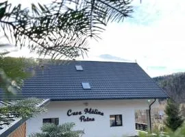 Casa Mălina Putna