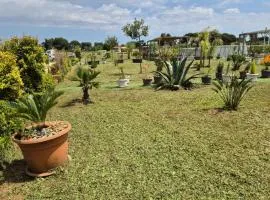 B&B L'Albero d'Oro