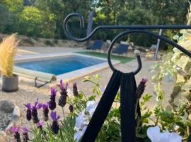 L'AMANDERAIE PISCINE PRIVEE à côté de LOURMARIN LUBERON
