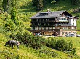 Hotel Alpen Arnika, Hotel in Tauplitzalm