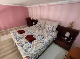 Erika Apartman