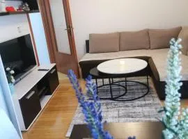 Apartman Bullevar Stup