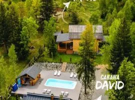 Cabanele Doi Frati