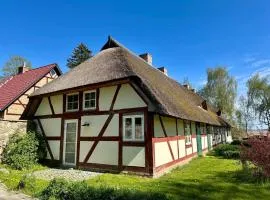 Katen am Schwanenteich