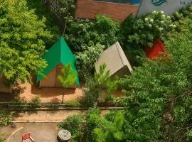 Sunlane Nest Da Lat