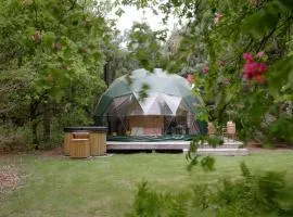Stay Classy - Domes
