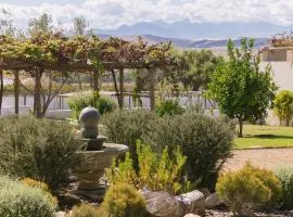 Doran Vineyards