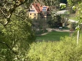 Natur Idylle mit Tieren in der Dachsmühle zwischen Bodensee und Schwarzwald