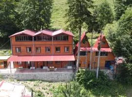 maneviga pansiyon
