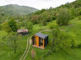 Cabana Magic Pine Nest, villa i Gura Teghii