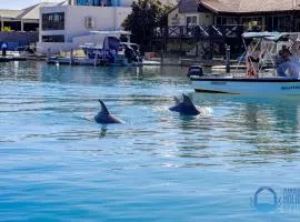 Dolphin Retreat in Halls Head