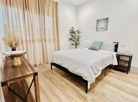 Newly Built Modern Central 2B On Sherman with Free Parking