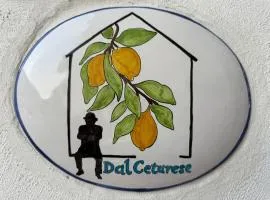 Dal Cetarese