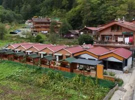 Çakıroğlu Villa Kent