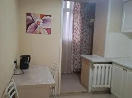 One-bedroom apartment in the city center