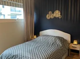 Coloc Chambre privée meublée dans un appartement lumineux et spacieux, Hyper centrale