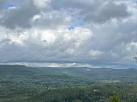 Tree top View 15