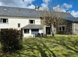 Maison Auvergnate Spacieuse 170m² - 8 Pers - Nature au Parc des Volcans - FR-1-814-135