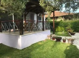 Niki's House