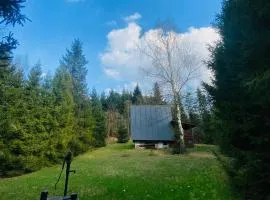 Lenivka
