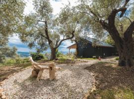 Olive Hills holiday homes 3，多布拉沃達的木屋