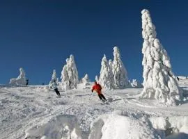 Ferienwohnung im Bayerischen Wald mit Sauna