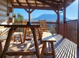 Bear Country Cabin