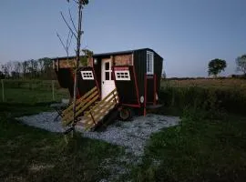 Farmstay Zijperdijk