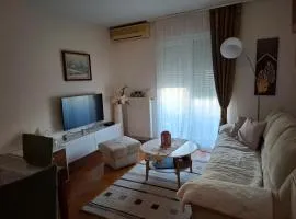 Apartman San