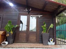 Bungalow tejano girasol