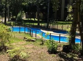 Nice and comfortable apartment in Pucon