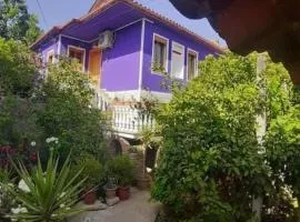Ilia Gloria house