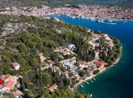 Seaside family friendly house with a swimming pool Vela Luka, Korcula - 12289