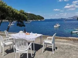 Apartments by the sea Cavtat, Dubrovnik - 24545